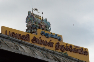 Temple Top View